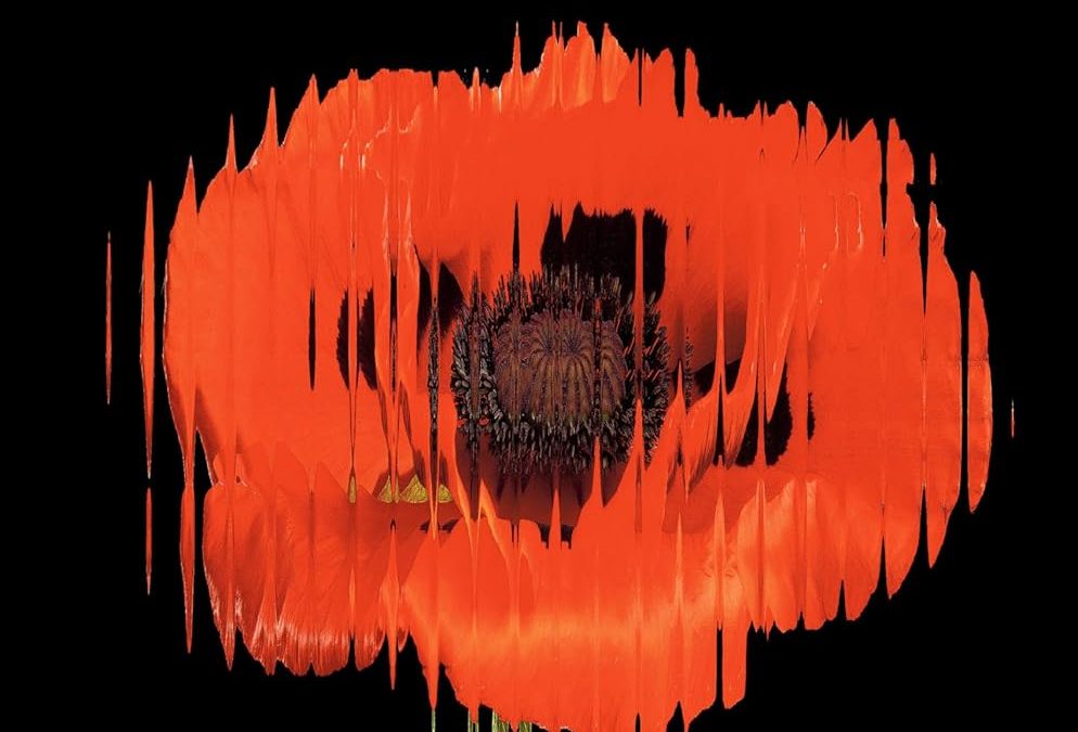 Superbloom: How Technologies of Connection Tear Us Apart by Nicholas Carr